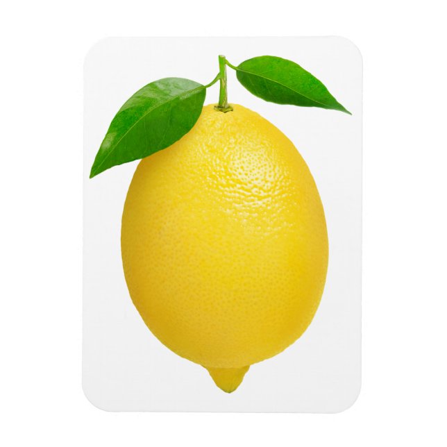 Lemon Magnet (Vertical)