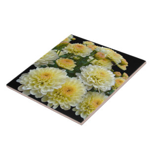 Lemon Meringue Chrysanthemums Ceramic Tile