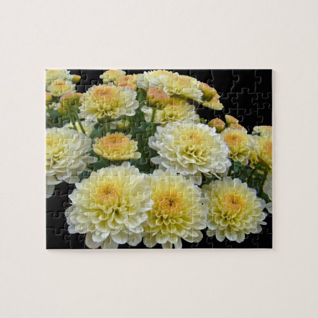 Lemon Meringue Chrysanthemums Jigsaw Puzzle (Horizontal)