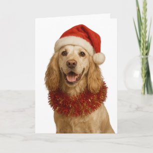 Lemon roan Cocker Spaniel Happy Christmas card