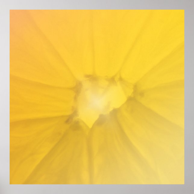 Lemon Section Poster (Front)