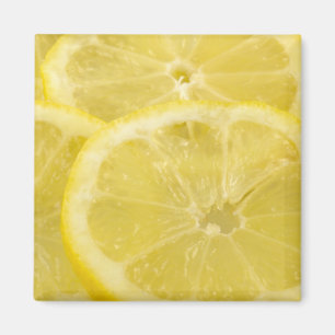 Lemon Slices Magnet