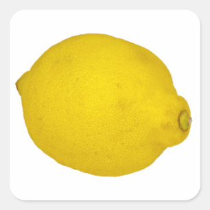 Lemon Square Sticker