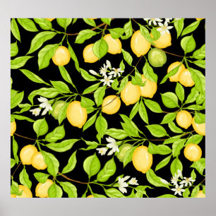 Lemon Tree Branch Vintage Illustration Poster
