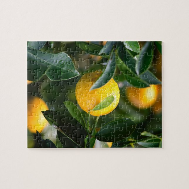 Lemon Tree Fruit Photography Jigsaw Puzzle (Horizontal)
