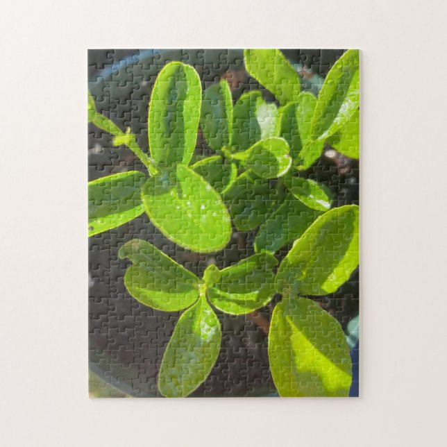 Lemon Tree Garden Planting Spring Jigsaw Puzzle (Vertical)
