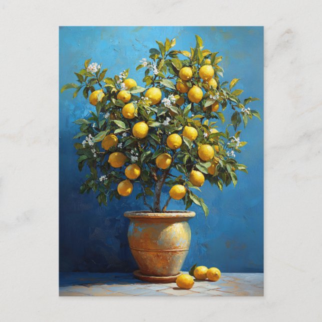 Lemon Tree in Clay Pot with Blossoms Postcard (Front)