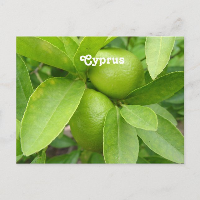 Lemon Tree Postcard (Front)
