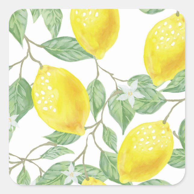 Lemon Tree Square Sticker (Front)