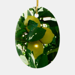 Lemon Tree Yellow Green Ornament
