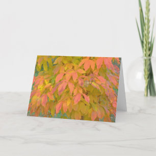 "Lemon Yellow and  Salmon Coloured Leaves" (photog Card