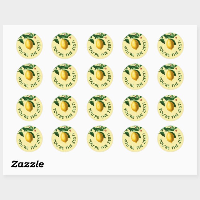 Lemon You're The Zest Customer Appreciation Classic Round Sticker (Sheet)