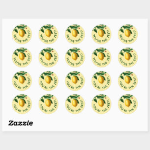 Lemon You're The Zest Customer Appreciation Classic Round Sticker