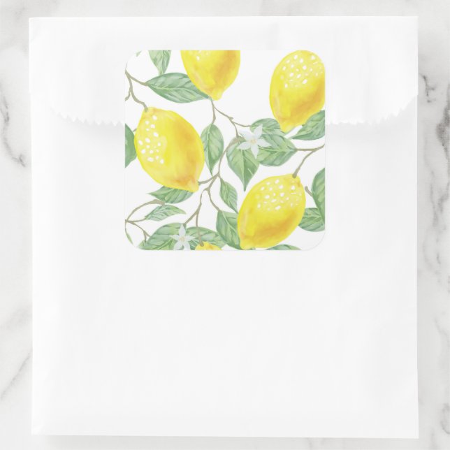 Lemons and Leaves Stickers (Bag)