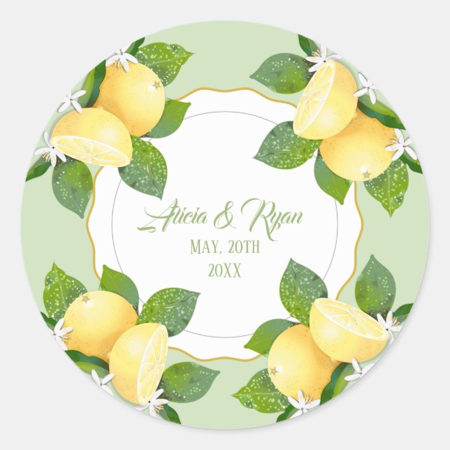 Lemons Citrus Fruit Botanical Classic Round Sticker (Front)