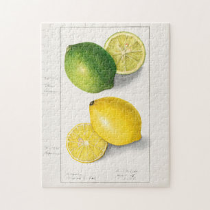 Lemons (Citrus Limon) Fruit Watercolor Painting Jigsaw Puzzle