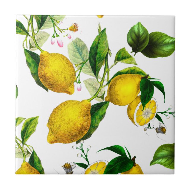 Lemons,citrus,mediterranean art    round paper ceramic tile (Front)