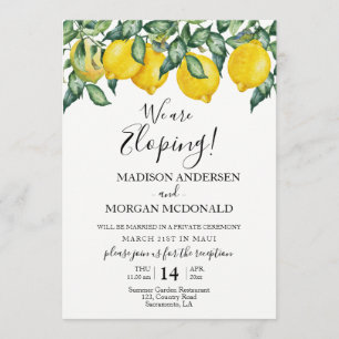 Lemons Elopement reception invitation