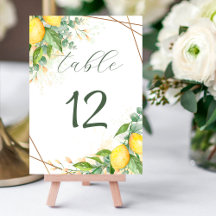 Lemons Eucalyptus Faux Gold Foil Frame