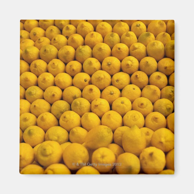 Lemons Magnet (Front)