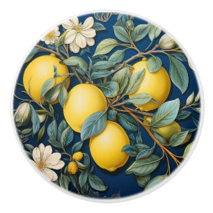 Lemons Mediterranean Summer Citrus Ceramic Knob