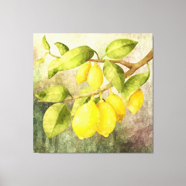 Lemons Painting  Canvas Print (Front)