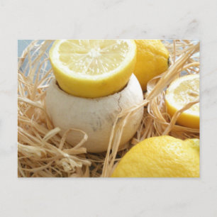 Lemons Postcard
