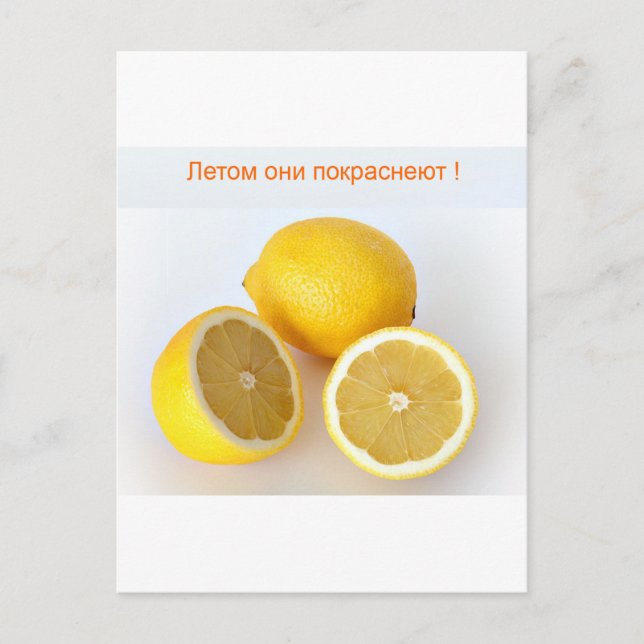 Lemons Postcard (Front)