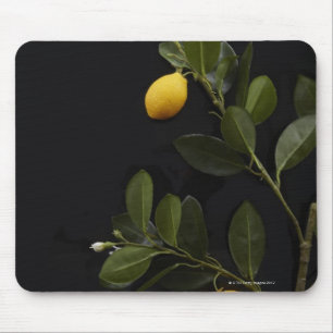 Lemons still on their Branch Mouse Pad
