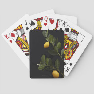 Lemons still on their Branch Playing Cards
