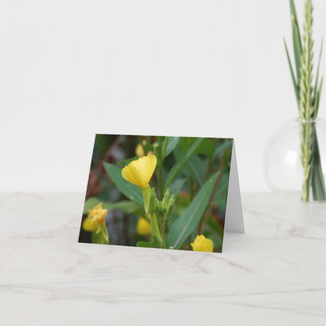 Lemony Card (Front)