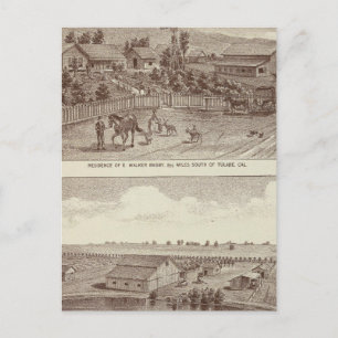 Lemoore, Armona ranches 2 Postcard