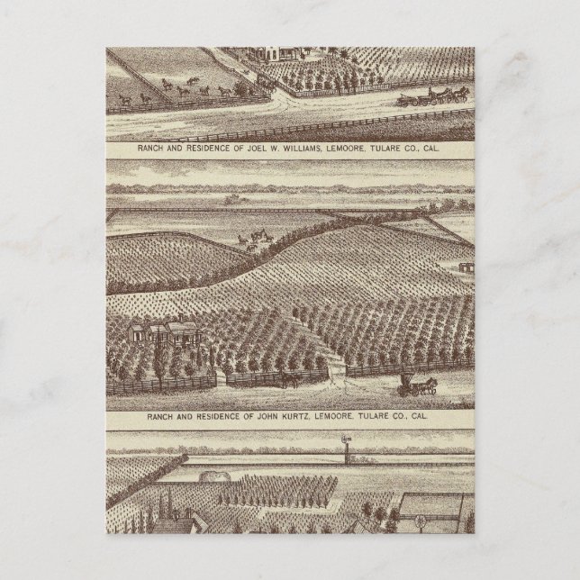 Lemoore, Armona ranches Postcard (Front)