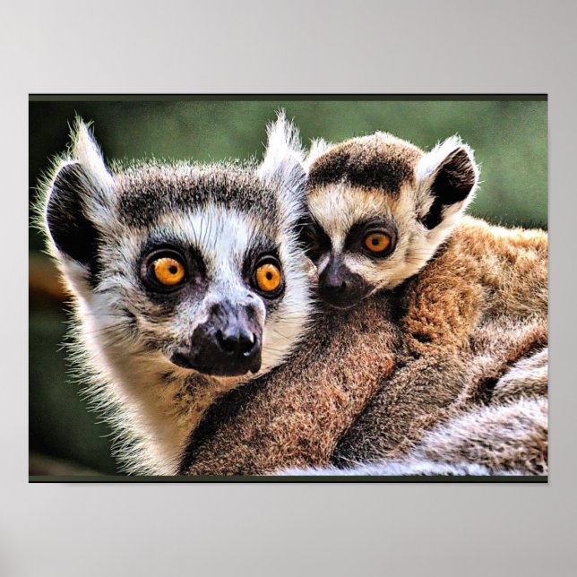 Lemur and Pup Poster (Front)