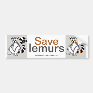 Lemur - bumper sticker