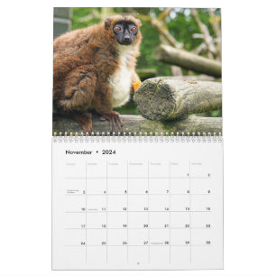 Lemur Calendar 2025