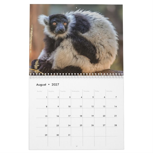 Lemur Calendar 2026 (Aug 2027)