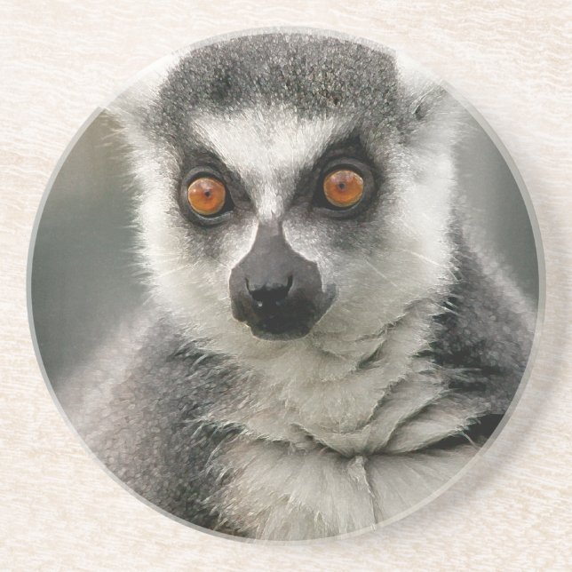 Lemur Coaster (Front)