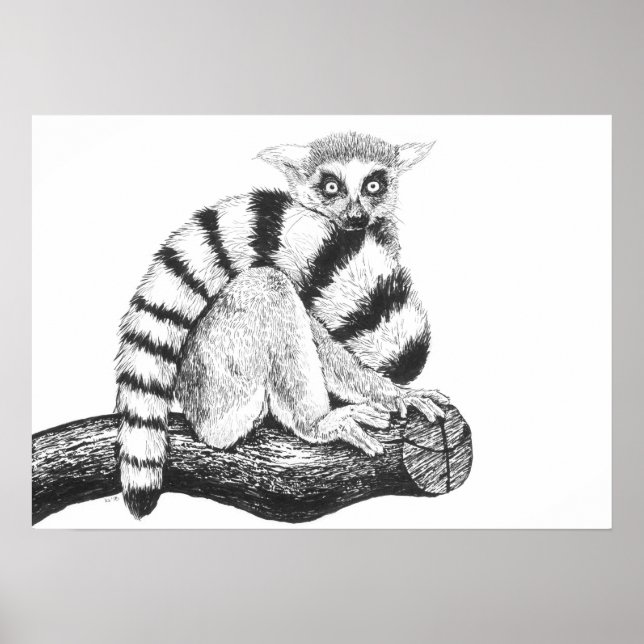 Lemur drawing poster (Front)