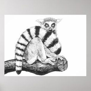 Lemur drawing poster