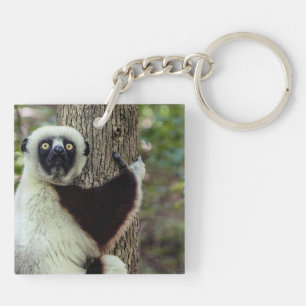 Lemur hugging a tree key ring