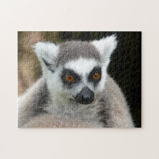 lemur jigsaw puzzle (Horizontal)