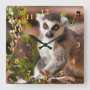 LEMUR LEISURE SQUARE WALL CLOCK