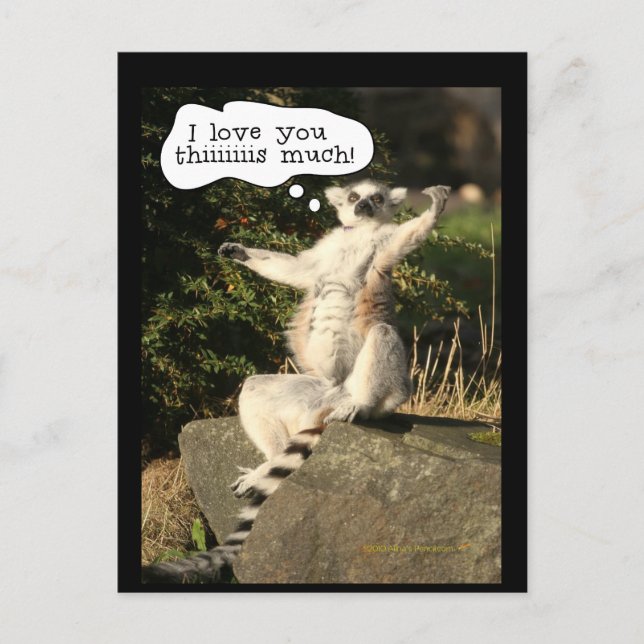 Lemur Love You This Much Funny  Fathers Day Postcard (Front)