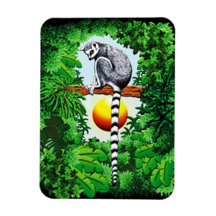 Lemur of Madagascar Magnet