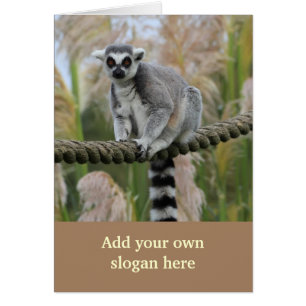 Lemur on Rope Photo to Customise Yourself