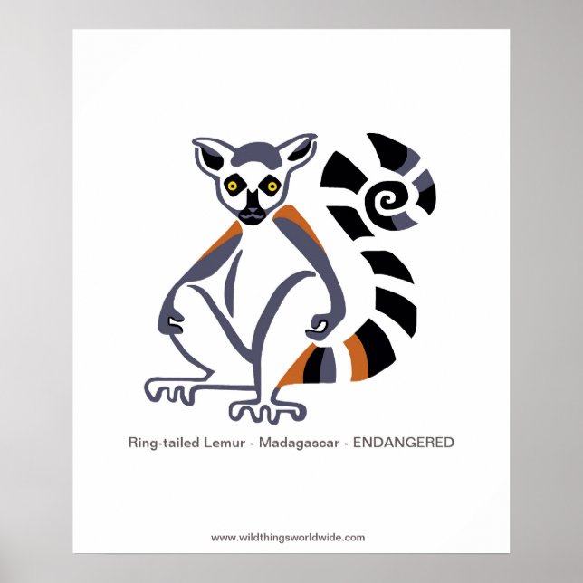 Lemur - poster (Front)