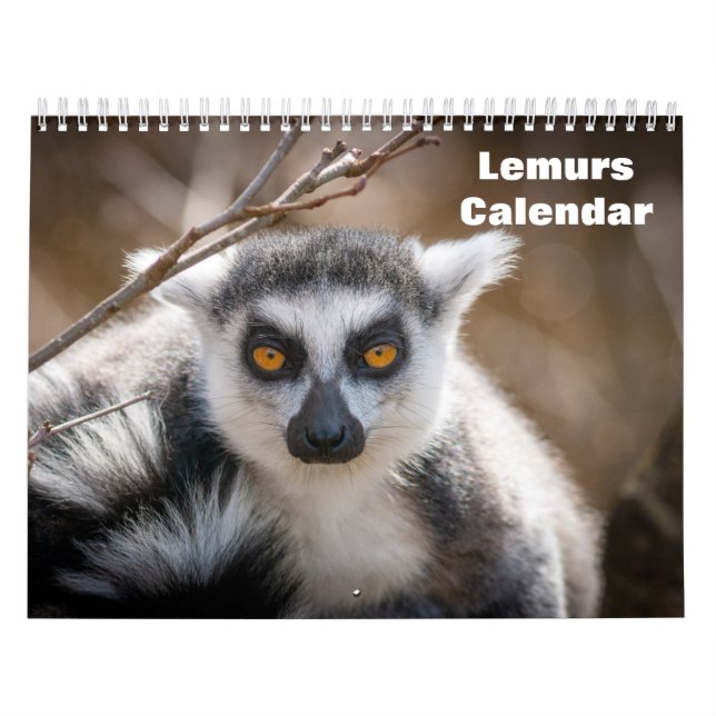 Lemurs 2027 calendar (Cover)