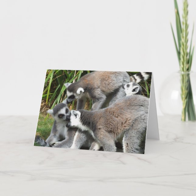 Lemurs Card (Front)