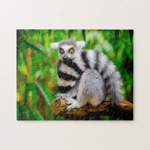 Lemurs. Jigsaw Puzzle